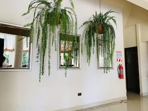 Restaurant - Hotel Mango (Rio Segundo)