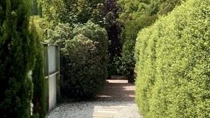 Property grounds - Arrowtown Gem - Pet Friendly Arrowtown Cottage. (Arrowtown)