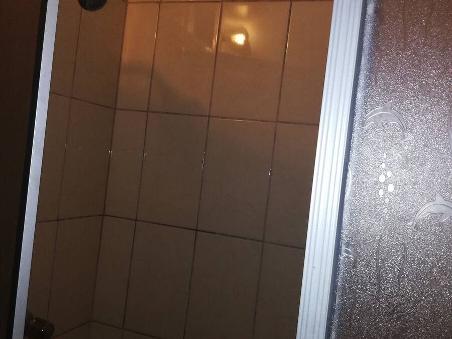 A shower area with tiled walls and a glass door.