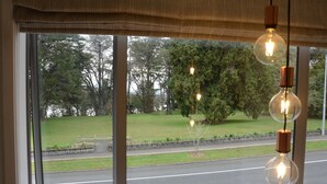 A view through a window with hanging light bulbs, a road, and a grassy area with trees.