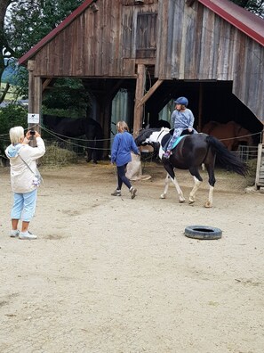 Photo non classée, 5 sur 6, bouton