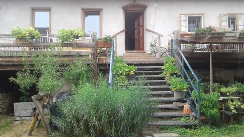 Holidays among happy animals!