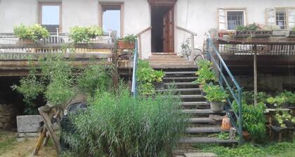 Holidays among happy animals!