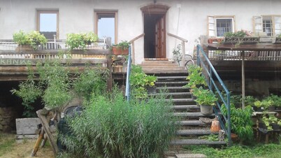 Holidays among happy animals!