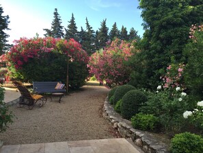 Parco della struttura