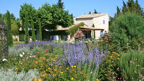 A traditional building with a tiled roof, surrounded by a garden with various flowering plants and tall trees. - Unique in Provence: the Mas Mirabelle in Eygalières (Eygalières)