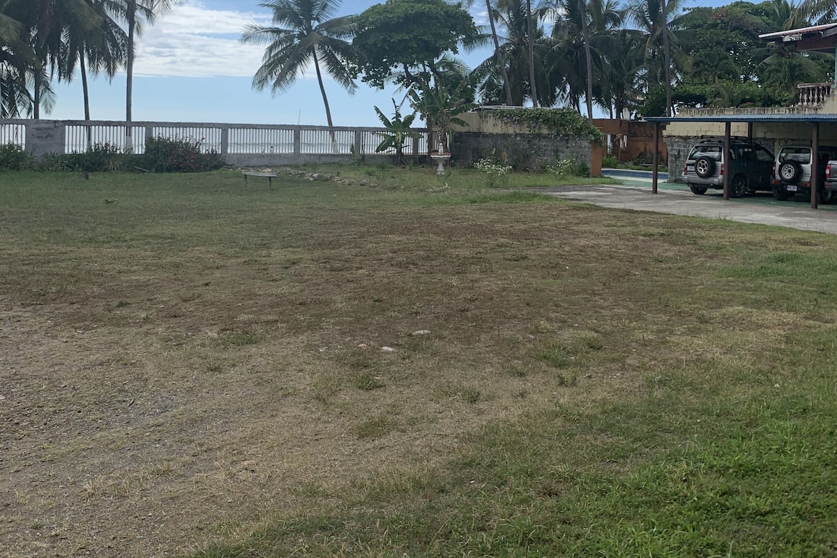 A grassy area with palm trees, a white fence, and parked vehicles.