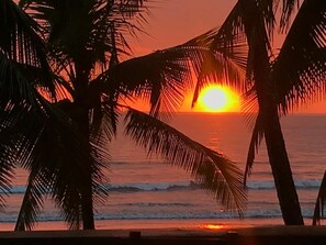Una puesta de sol sobre el océano, con palmeras silueteadas contra el cielo.