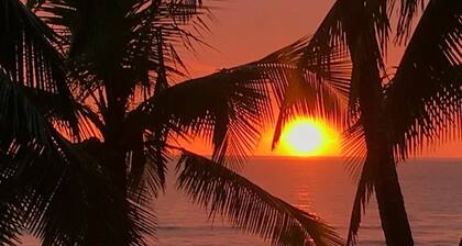 Gallina E Palo Beachfront Hotel