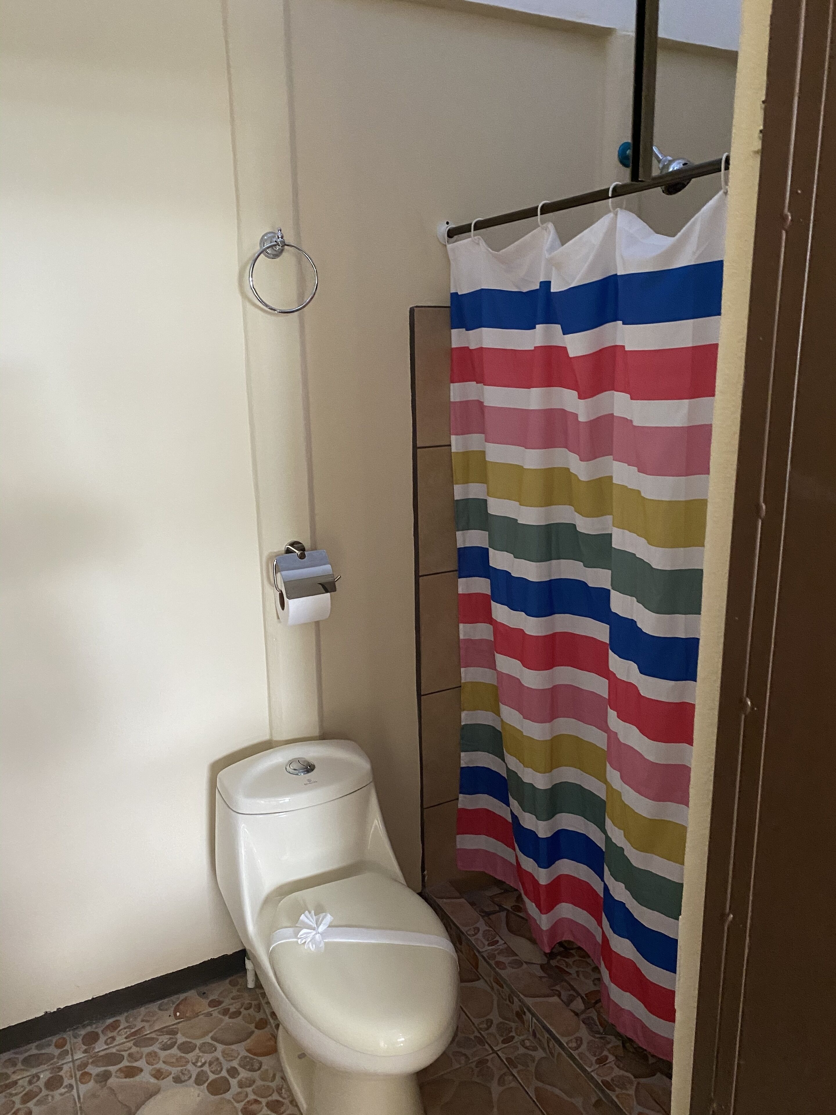 A small bathroom with a toilet, a shower curtain, and a toilet paper holder.