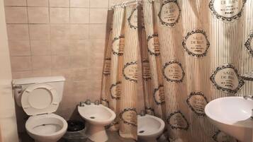 Shower, bidet, towels