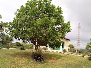 Garden - Abuesi Beach Resort (Sekondi-Takoradi)