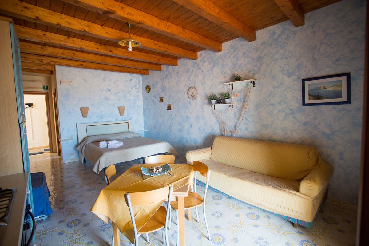A cozy room with a bed, a sofa, a dining table, and chairs.