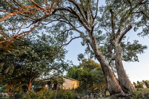 Unclassified image, 3 of 54, button - Bulwarra Accommodation - Heritage Studio (Dubbo)
