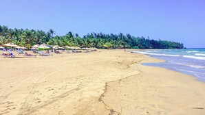 A beach with sun loungers and umbrellas, palm trees, and a clear sky.