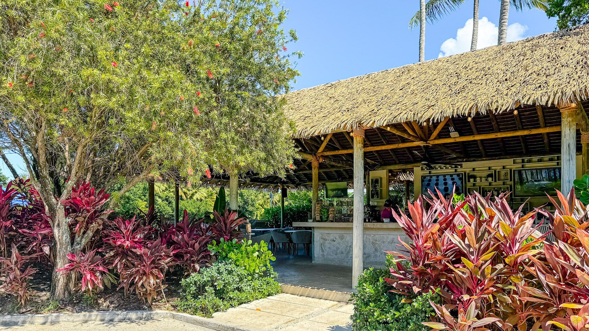 A covered outdoor seating area with a thatched roof, surrounded by lush greenery and a variety of plants.