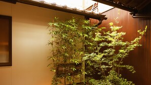 Una terraza de madera con una planta de bambú en la esquina.