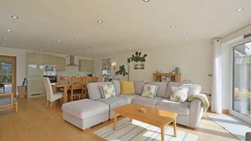 TV, fireplace, DVD player, books