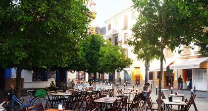 GREAT APARTMENT IN CASCO ANTIGUO