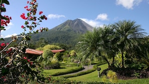 A lush garden with a pathway leading to a building with a red roof, surrounded by tropical plants and a mountain in the background. - Los lagos (La Fortuna)