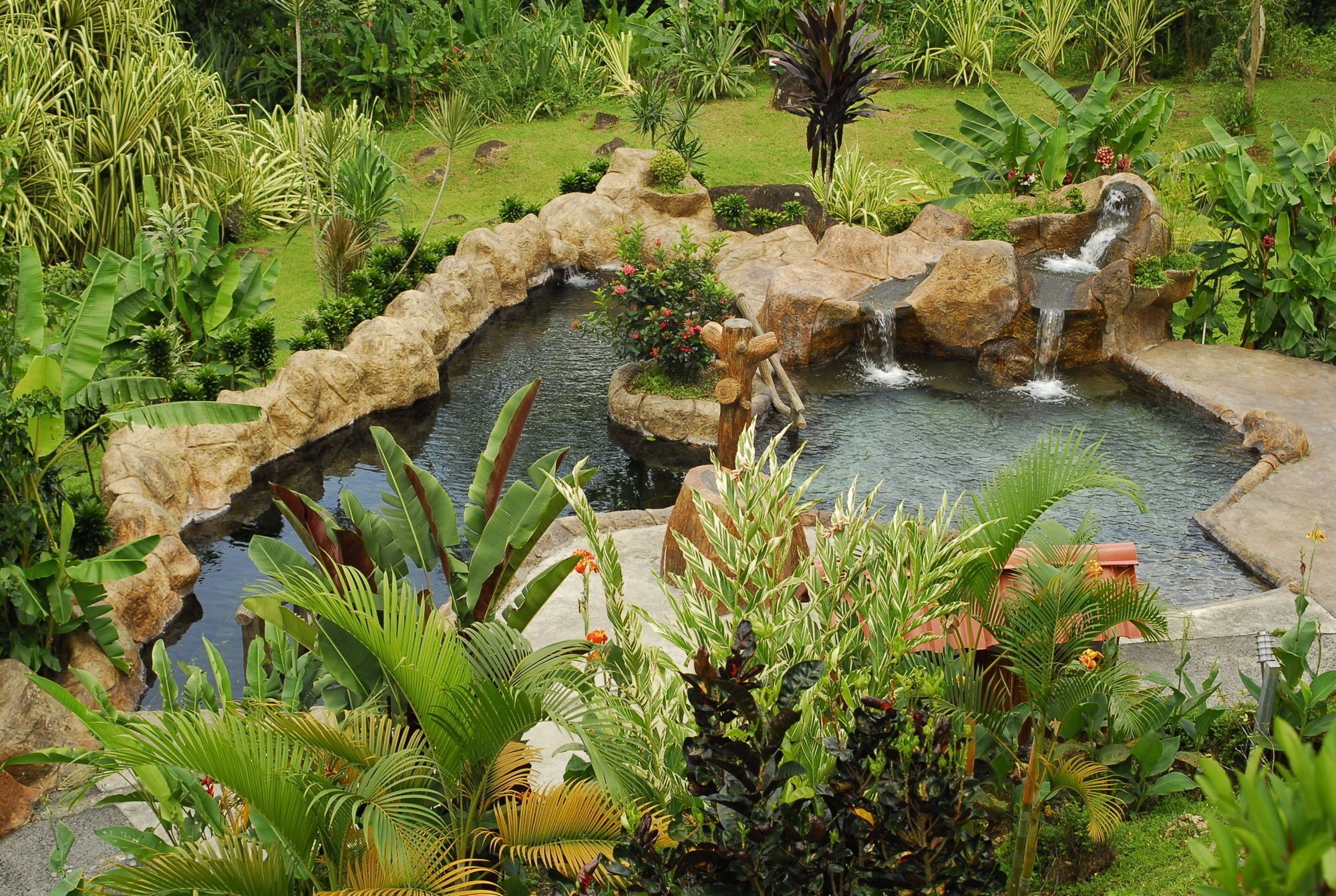 Un jardín con un estanque, rocas y diversas plantas.