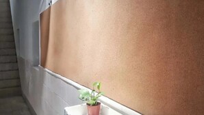 Een potplant op een wit schap in een smalle gang met een beige muur en een vloer van witte tegels.