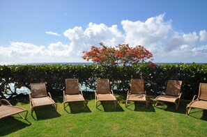 Property grounds - Apartment in Barbados (St. Lawrence Gap)