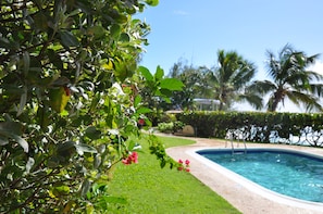 Pool - Apartment in Barbados (St. Lawrence Gap)