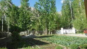 Un jardín con diversos árboles y una zona pavimentada con plantas.