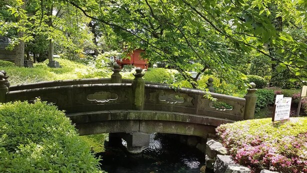 A stone bridge over a koi pond in a garden with lush greenery and a red structure in the background. - bnb+ Asakusa Kuramae - Hostel (Tokyo)