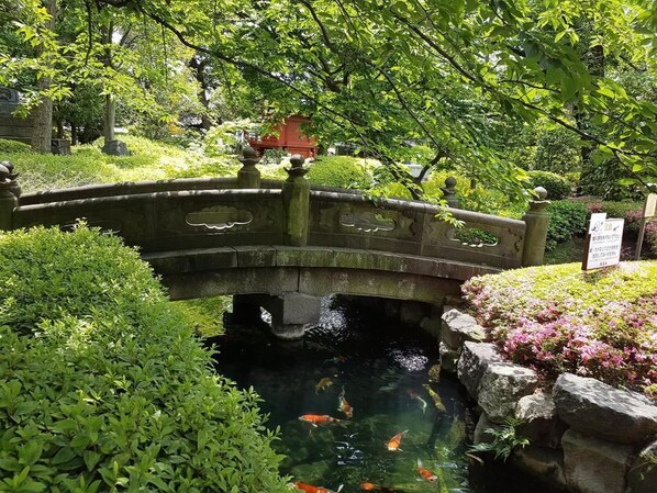 Garden - bnb+ Asakusa Kuramae - Hostel (Tokyo)