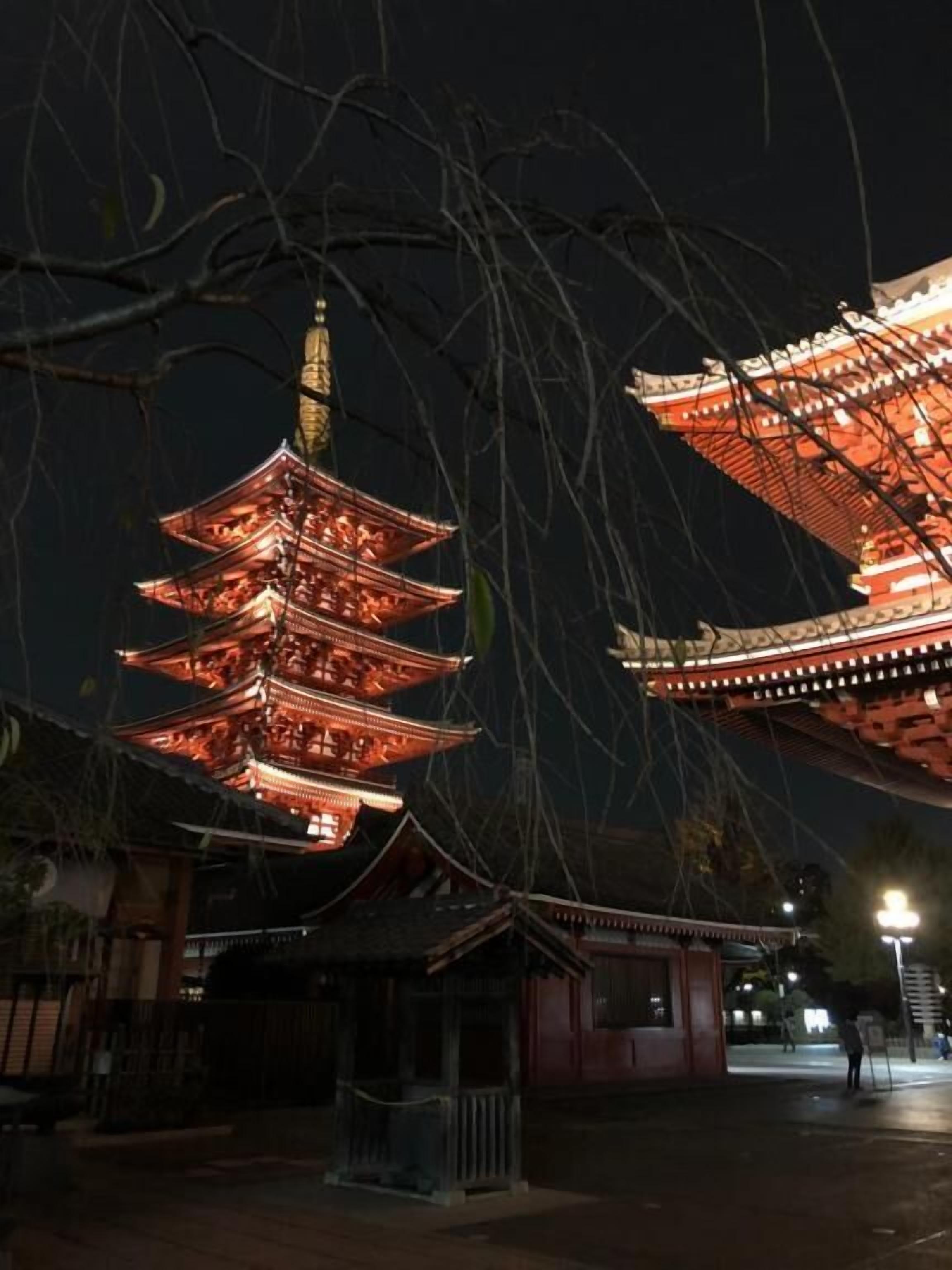 Un bâtiment de style pagode traditionnel, à plusieurs niveaux, illuminé la nuit.