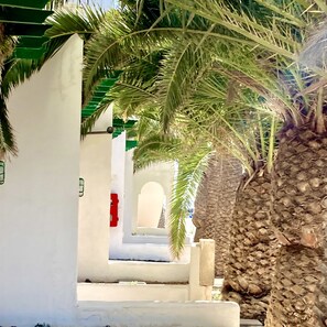 Jardines del alojamiento