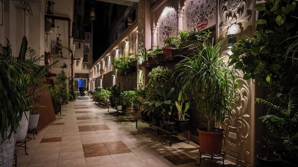 Un pasillo bordeado de macetas con plantas y un piso a cuadros, que conduce a una escalera.