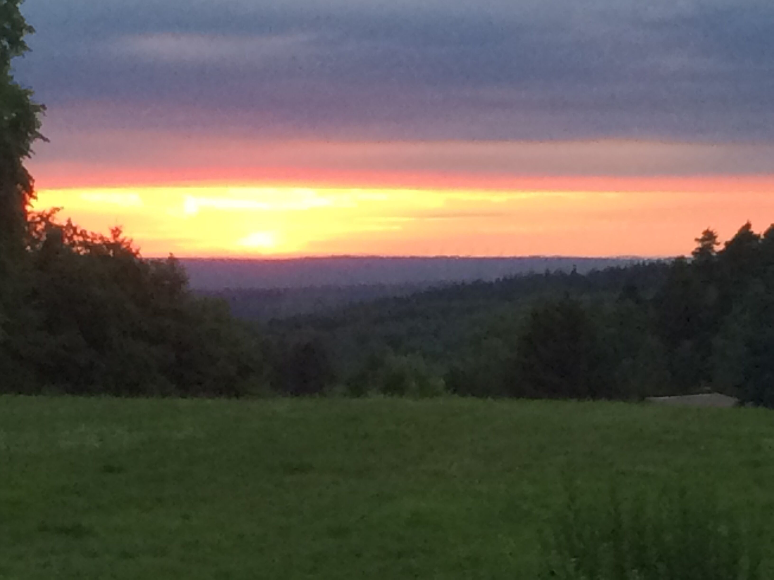 Un coucher de soleil sur un champ herbeux, avec des arbres à l'horizon.