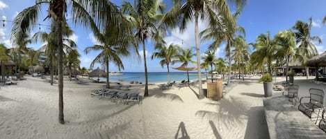 Playa en los alrededores, camastros y toallas de playa