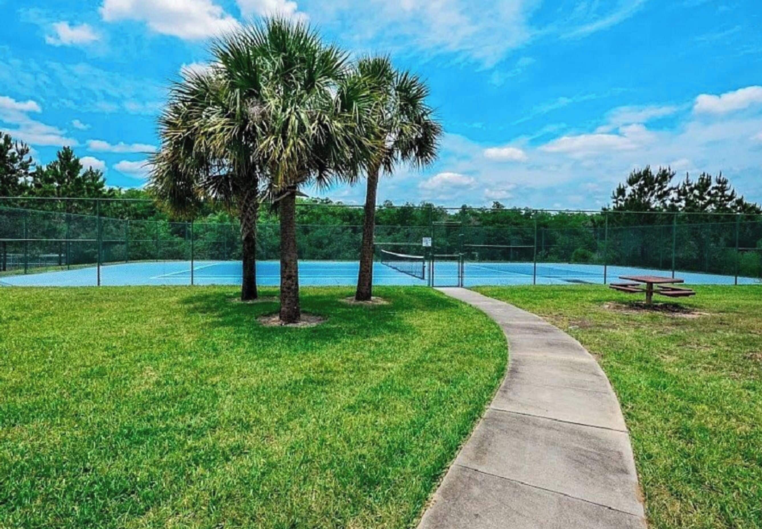 A fenced tennis court with a pathway leading to it, surrounded by grass and palm trees.