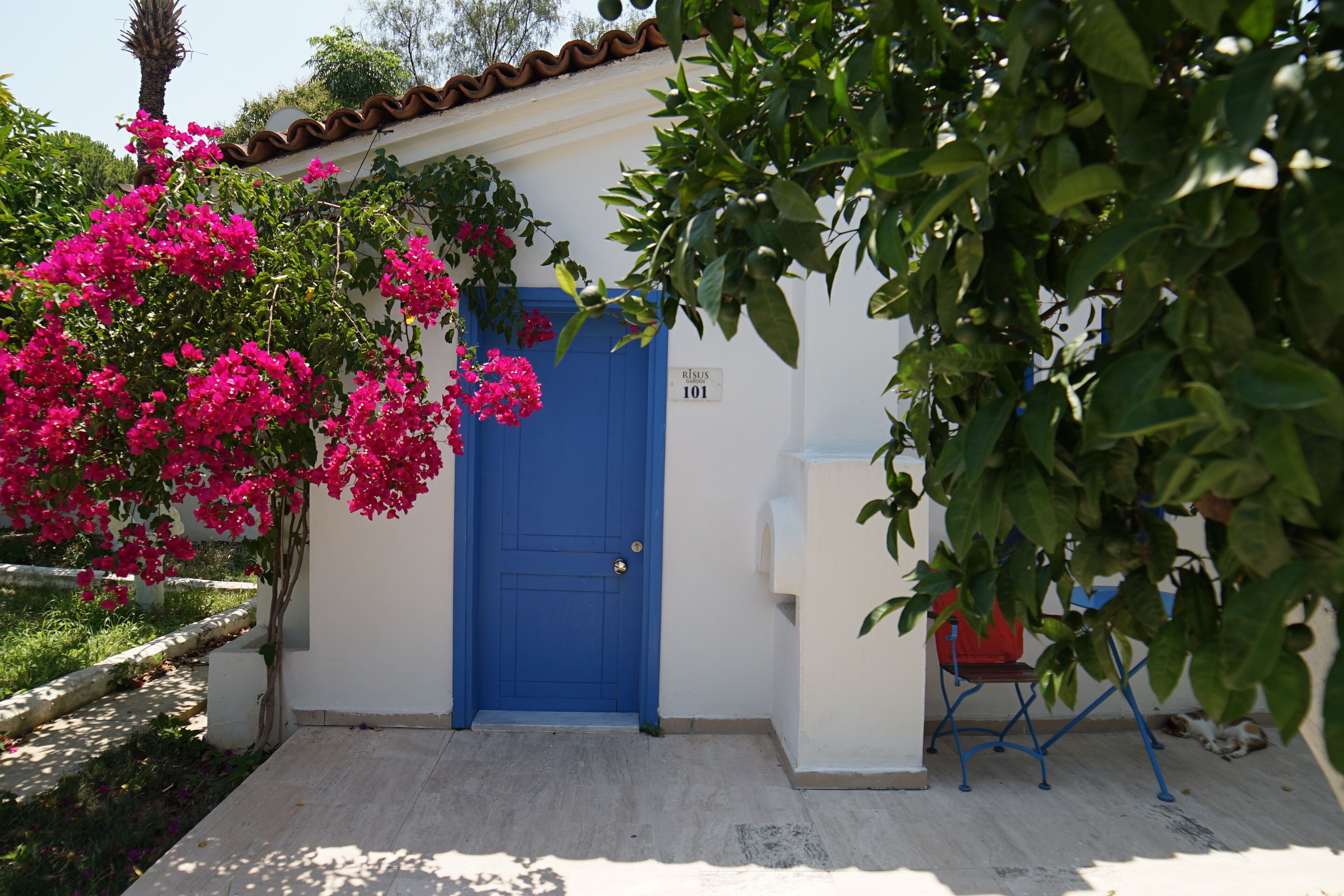 Foto - Risus Garden Marina Hotel