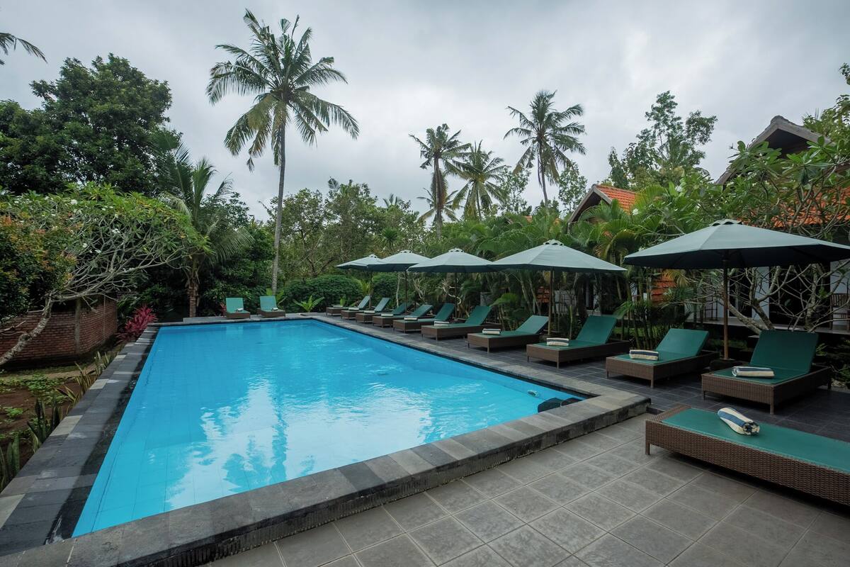 A swimming pool with lounge chairs and umbrellas, surrounded by palm trees and greenery.