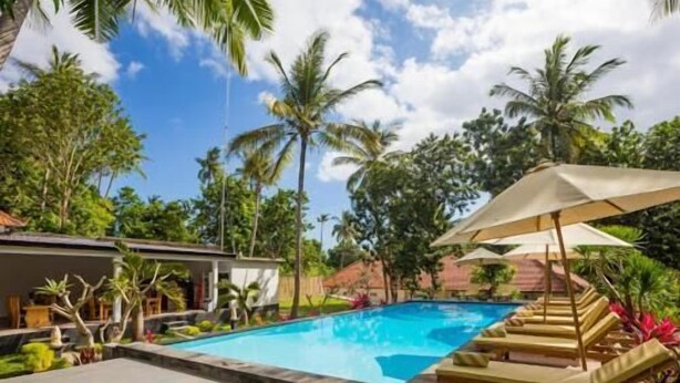 Une piscine entourée de palmiers et d’une maison, avec des chaises longues et des parasols.