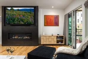 TV, fireplace, books