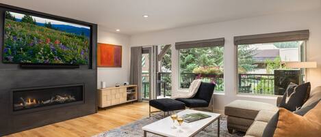 TV, fireplace, books