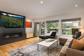 TV, fireplace, books