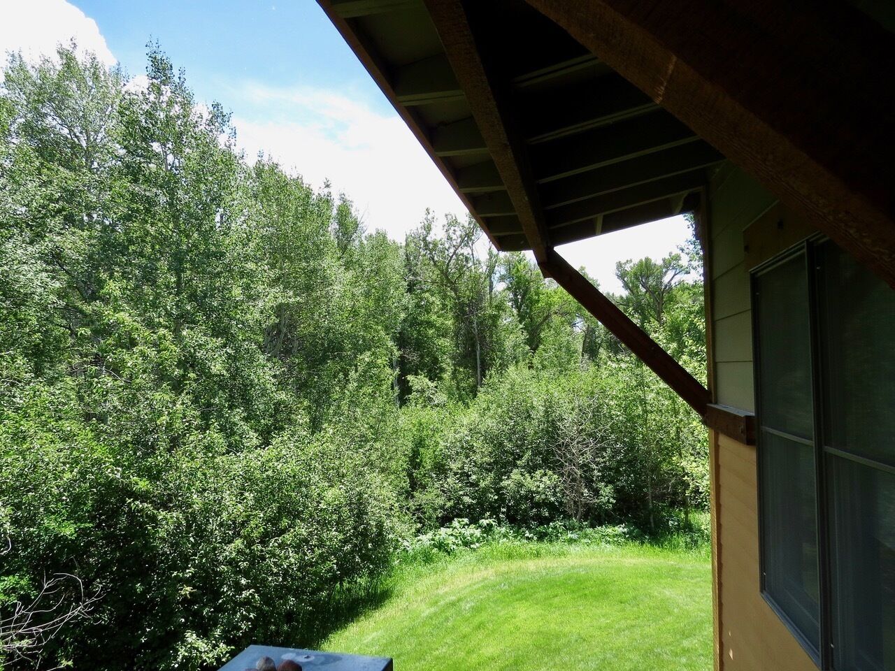 Blick von einer überdachten Veranda auf einen üppigen Garten mit dichtem Grün und einem gepflegten Rasen.