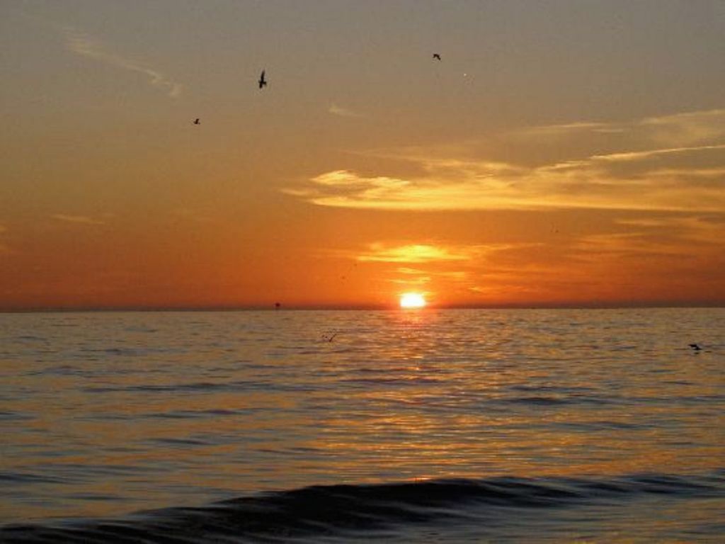 A sunset over the ocean with birds flying.
