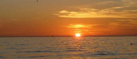 A sunset over the ocean with birds flying.