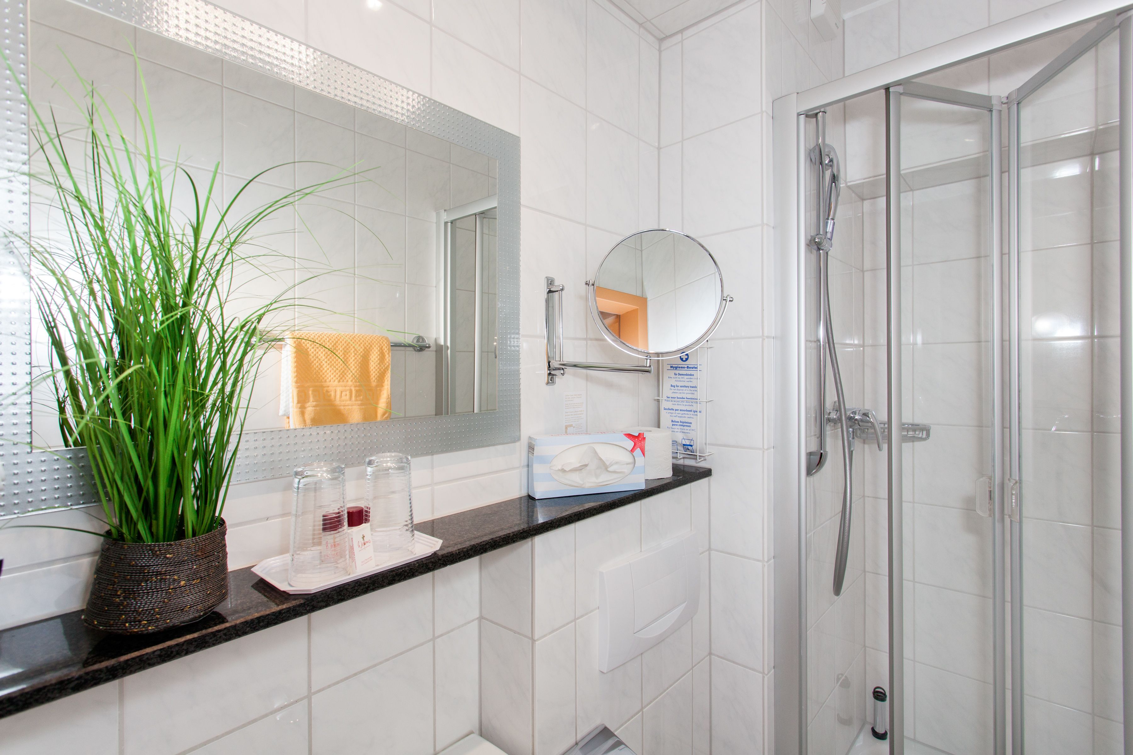 shower, free toiletries, hair dryer, towels