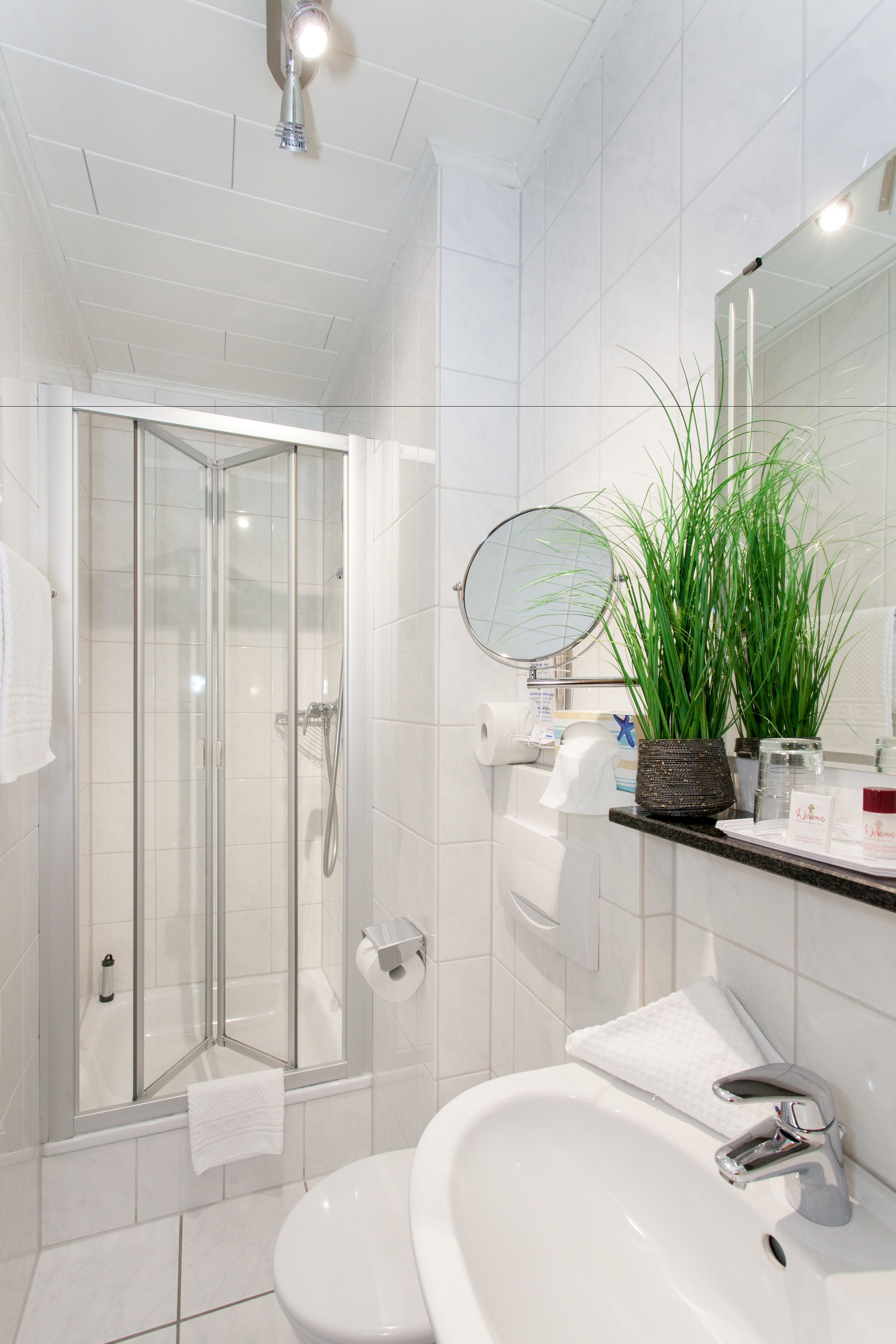 shower, free toiletries, hair dryer, towels