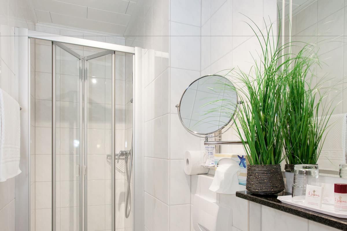 shower, free toiletries, hair dryer, towels