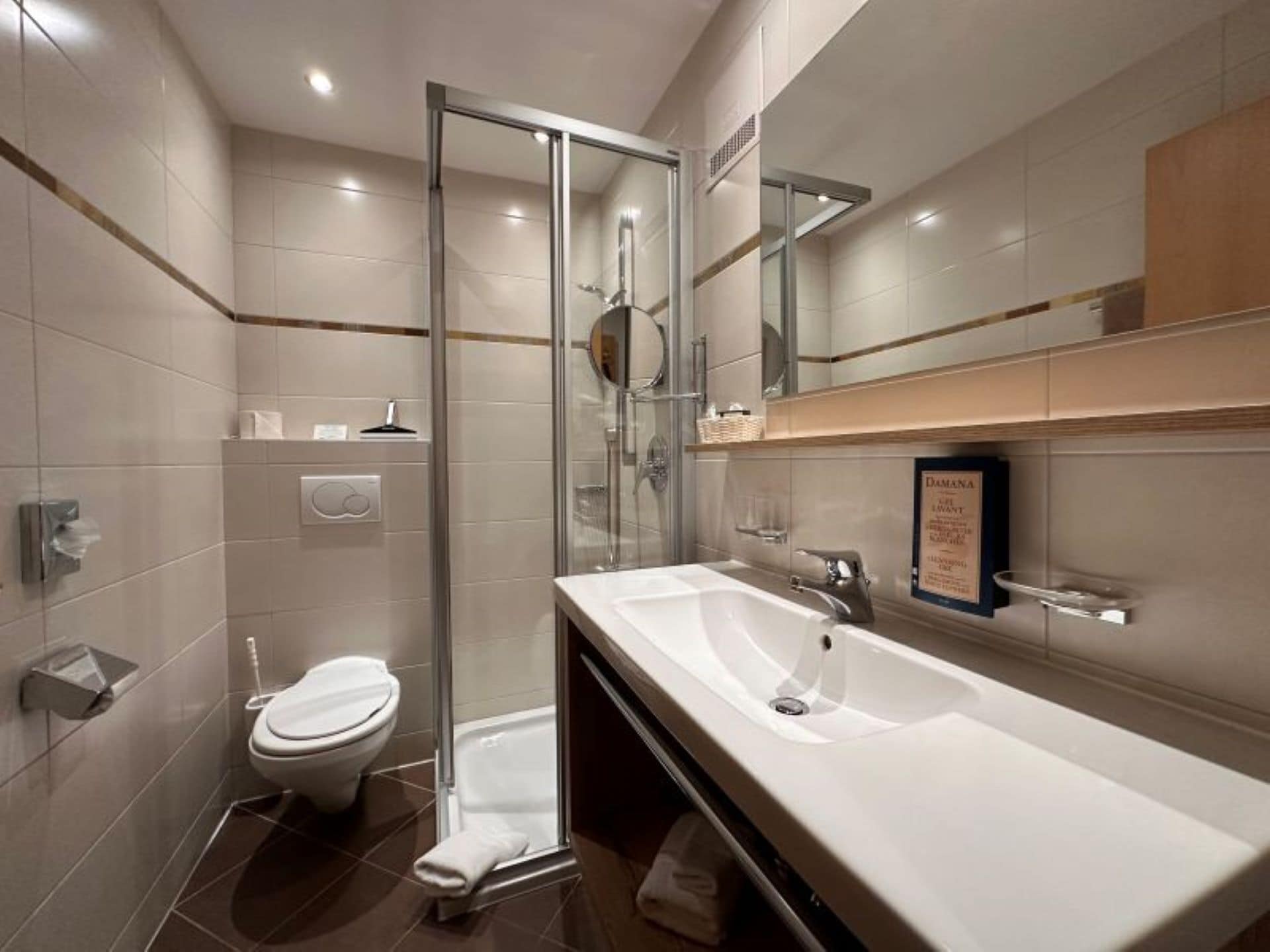 A modern bathroom with a glass shower enclosure, a toilet, a sink, and a mirror.